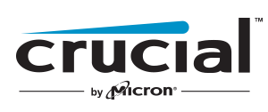 crucial crucial