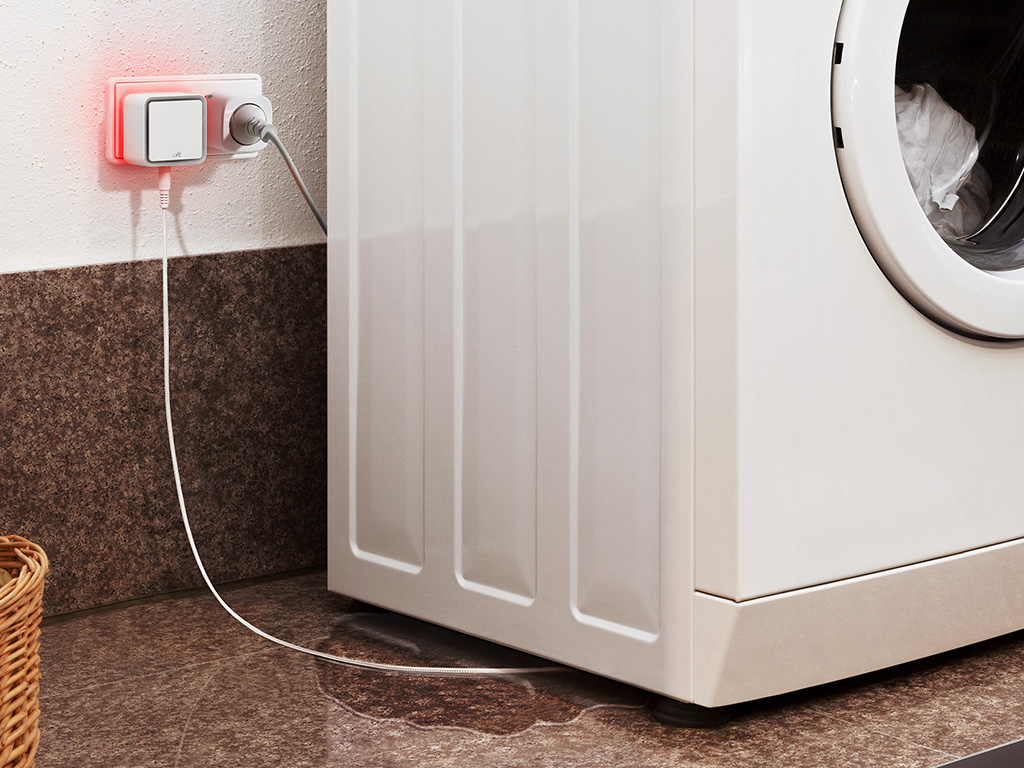 powlja4xbioigofqgoye